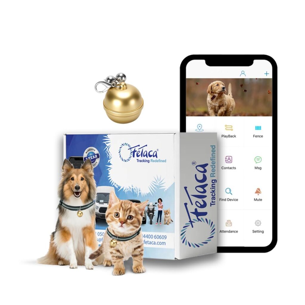 Smart Pet GPS Tracker Bell Shape for Dogs, Adult Cats & Other Animals – Live Location Tracking, Mobile Alerts & Activity Monitor with Free 12 Month 4G Data SIM & App Subscription (Gold)
        <span class="amazon-style-sales-stat" style="display: block; font-family: -apple-system, BlinkMacSystemFont, 'Segoe UI', Roboto, Arial, sans-serif; font-size: 15px; color: #0f1111; margin-top: 6px; text-transform: none; letter-spacing: normal; text-align: left; line-height: normal;">
            <strong style="font-weight: 700;">728 people bought</strong> <span style="font-weight: 400;">in past month</span>
        </span>
